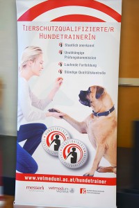 Tierschutzqualifizierte/r Hundetrainer/in Überblick