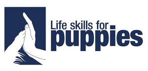Welpenschule Wien: Life skills for puppies Programm